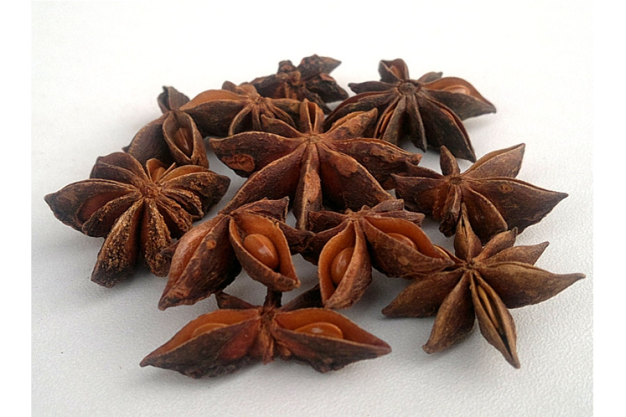 Badyán 15 g obrázek
