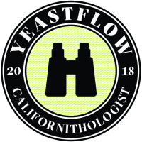 Pivní kvasinka tekutá YF-302 Californithologist 100 ml (YeastFlow)