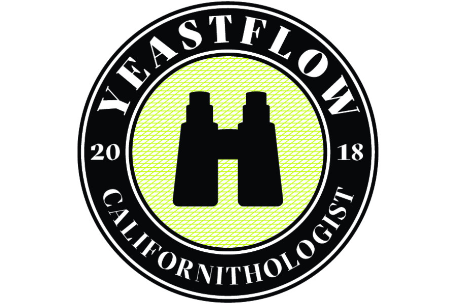 Pivní kvasinka tekutá YF-302 Californithologist 100 ml (YeastFlow) obrázek