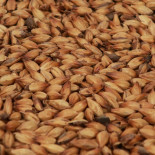 Château Special B® (Castle Malting)