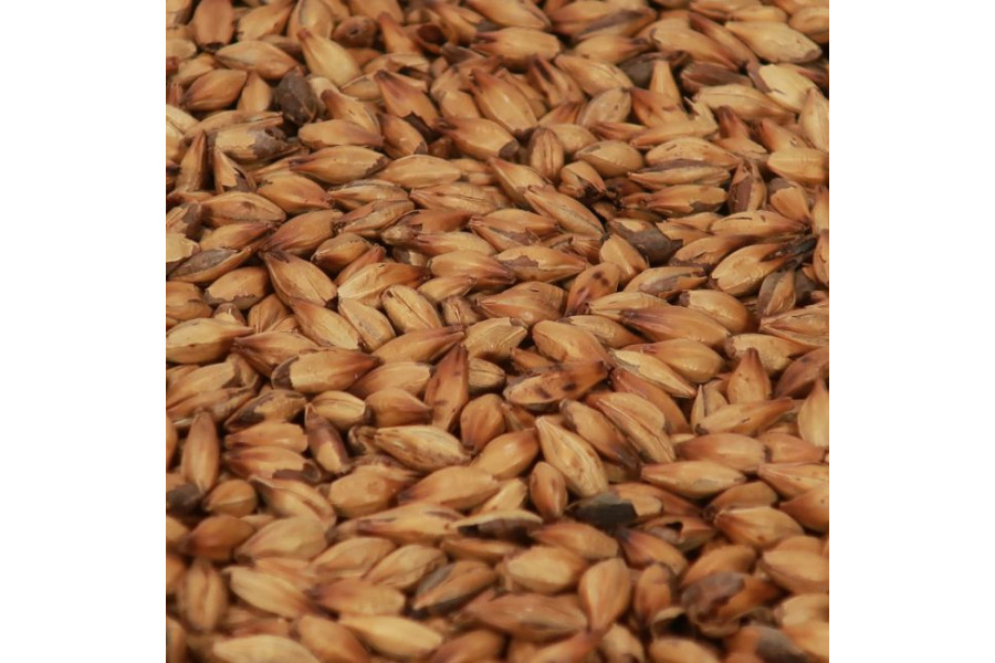 Château Special B® (Castle Malting) obrázek