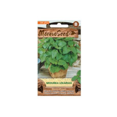 AGRO Osiva Meduňka lékařská