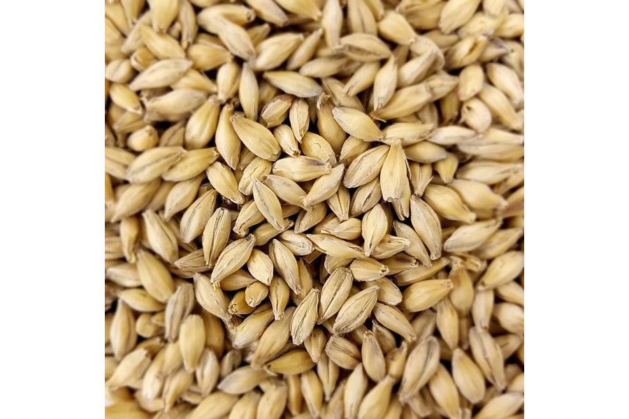 Mnichovský slad (Soufflet) obrázek