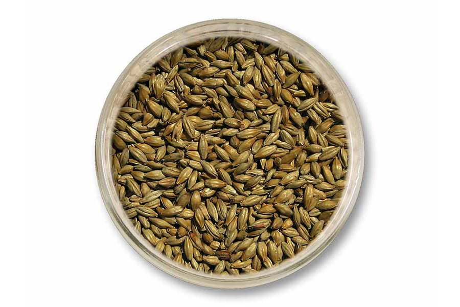 Mnichovský slad Barke®(Weyermann®) obrázek