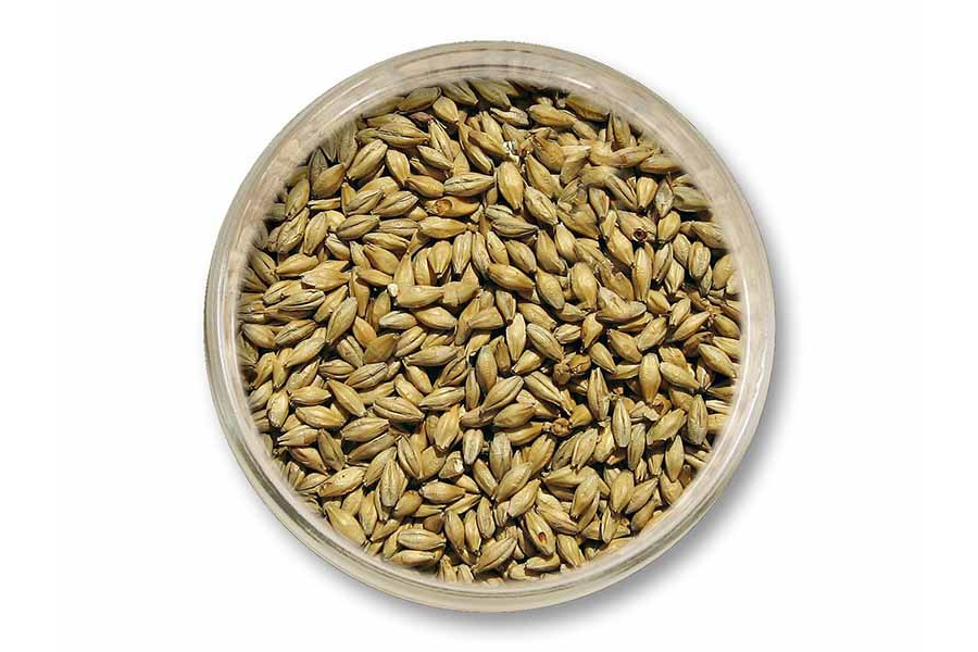 Plzeňský slad Eraclea (Weyermann®) obrázek