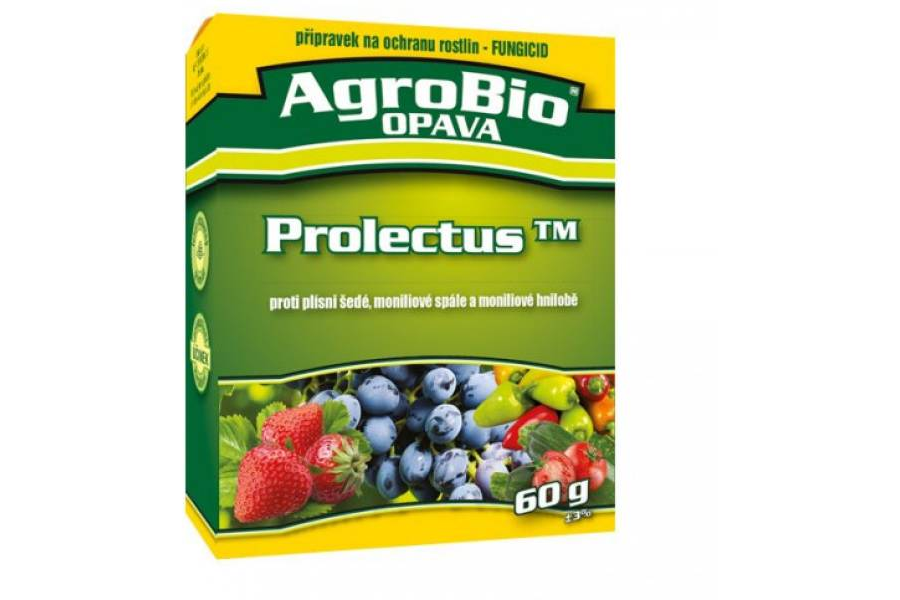 Prolectus 60g obrázek