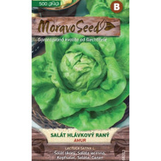 Osiva Salát hlávkový jarní Amur