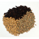 Sprau Germinated Faba Bean for beer slad(Viking)