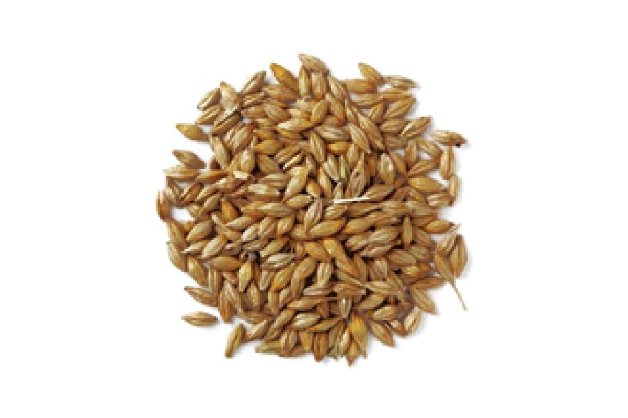 Château Special B® (Castle Malting) obrázek