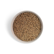 Pale Ale slad (Weyermann®)
