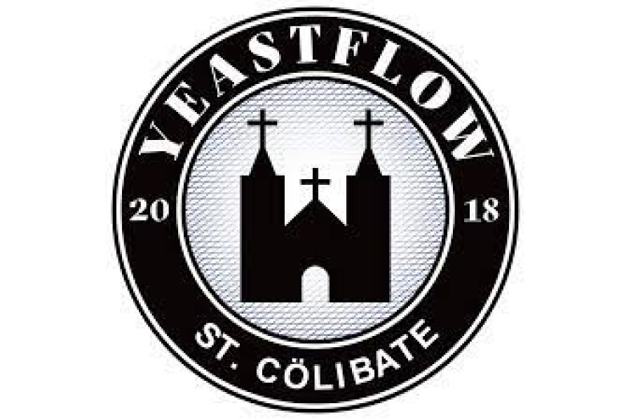 Pivní kvasinka tekutá YF-201 St. Cölibate 100 ml (YeastFlow) obrázek